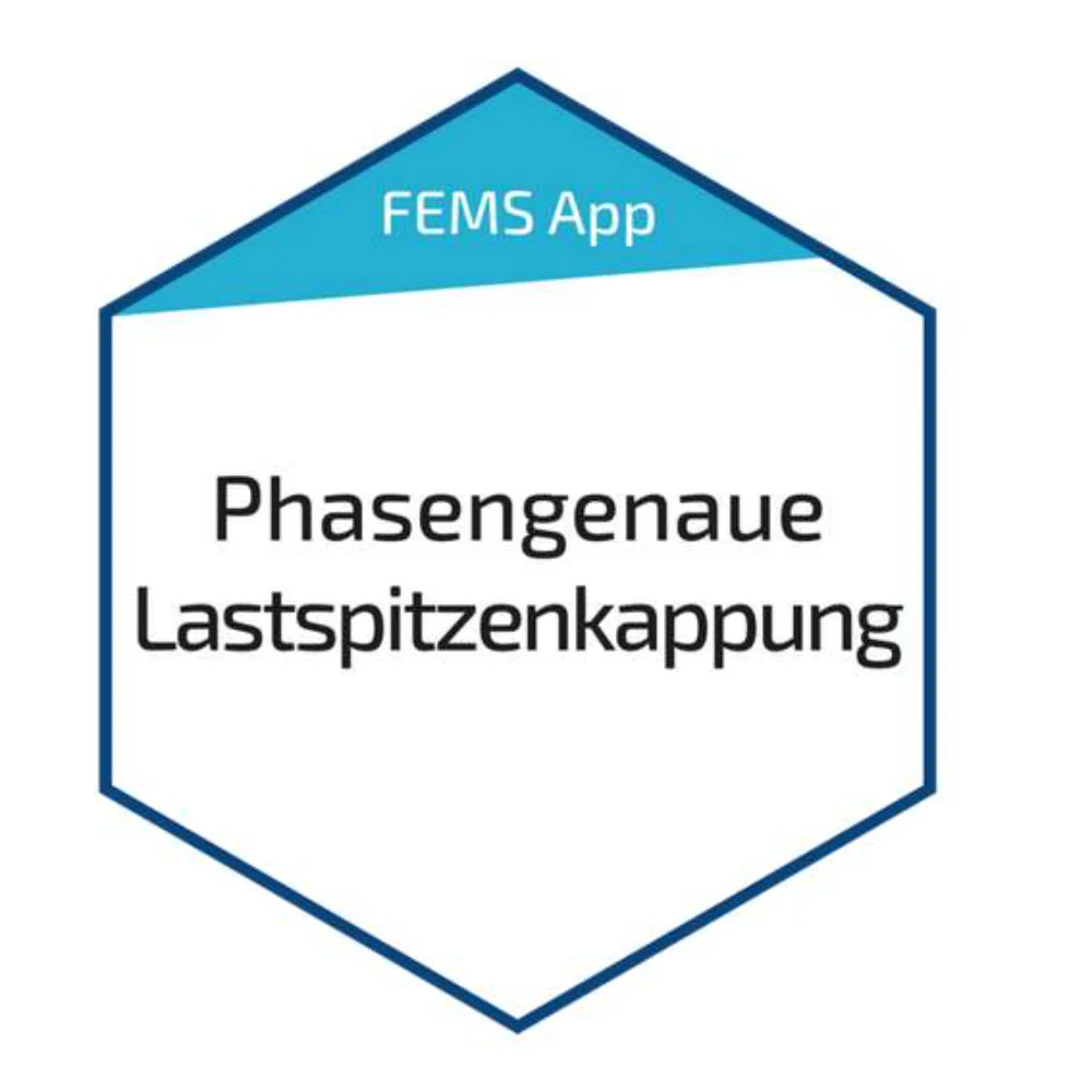 FENECON FEMS App Phasengenaue Lastspitzenkappung